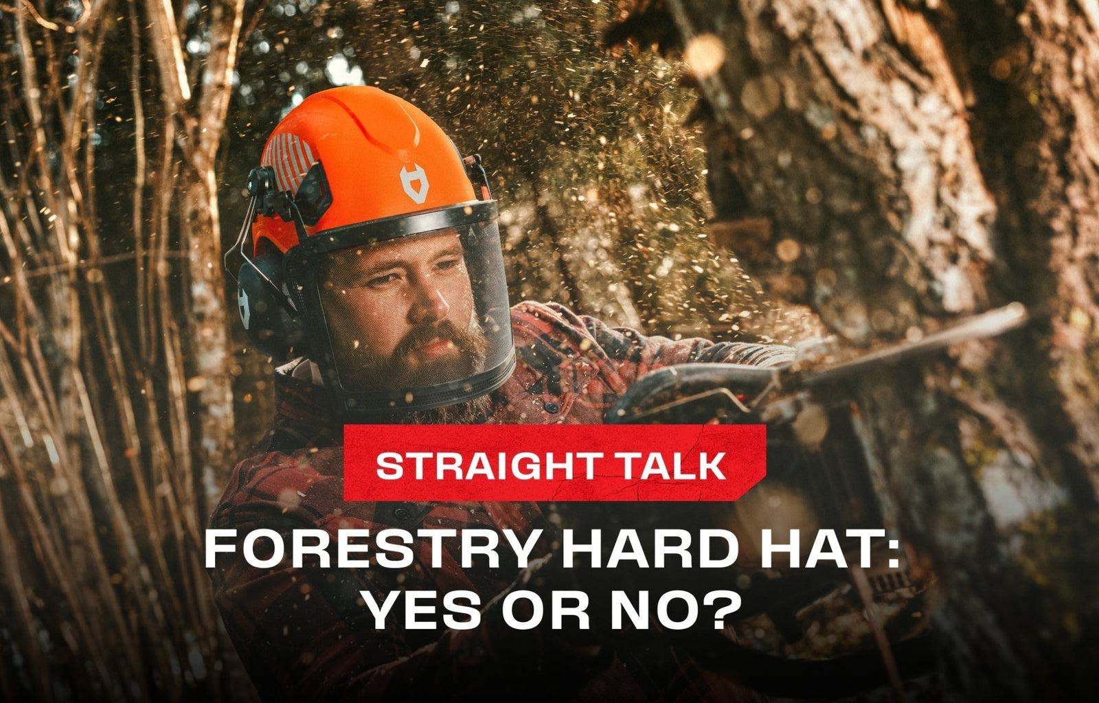 Do You Need a Hard Hat in Forestry? Guide to OSHA Compliance - NoCry