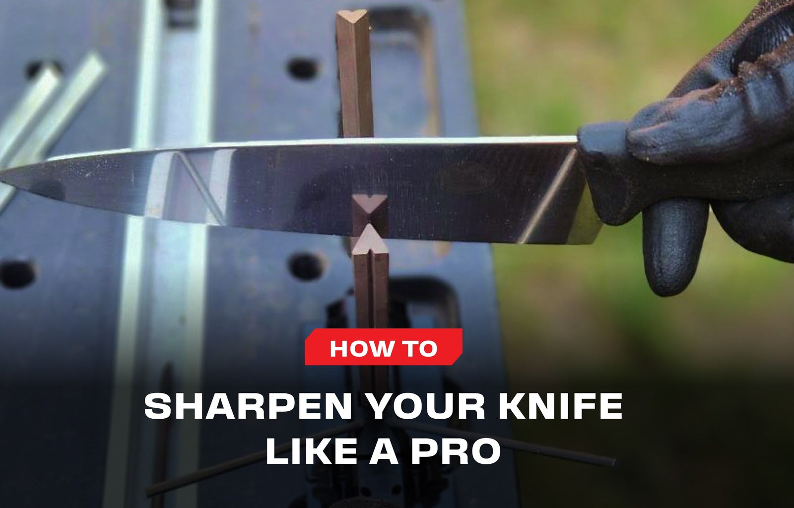 Best Knife Sharpening Tips from a Professional - NoCry