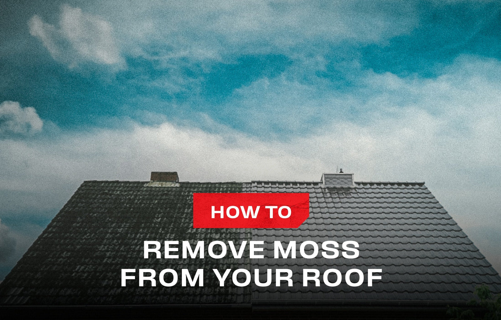Roof moss removal: Everything you need to know - NoCry