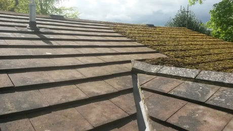 Roof moss removal: Everything you need to know - NoCry