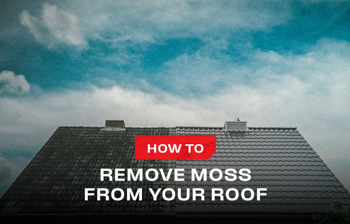 Roof moss removal: Everything you need to know - NoCry