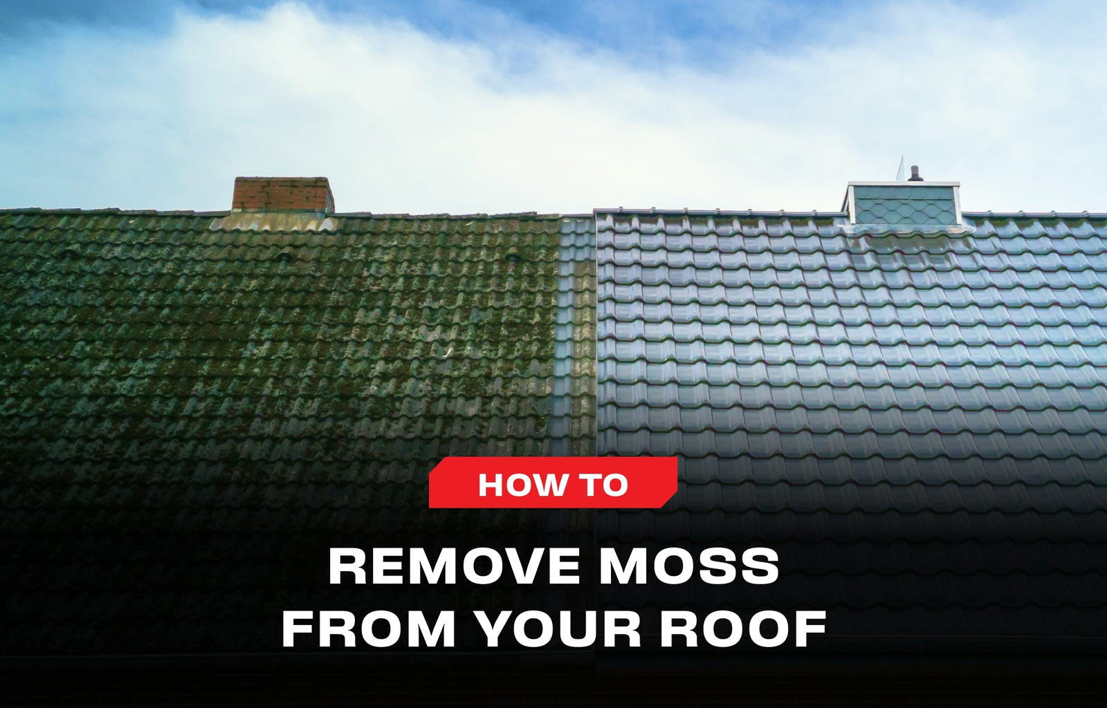 Roof Moss Removal 101: Kill It, Clear It, Keep It Gone - NoCry