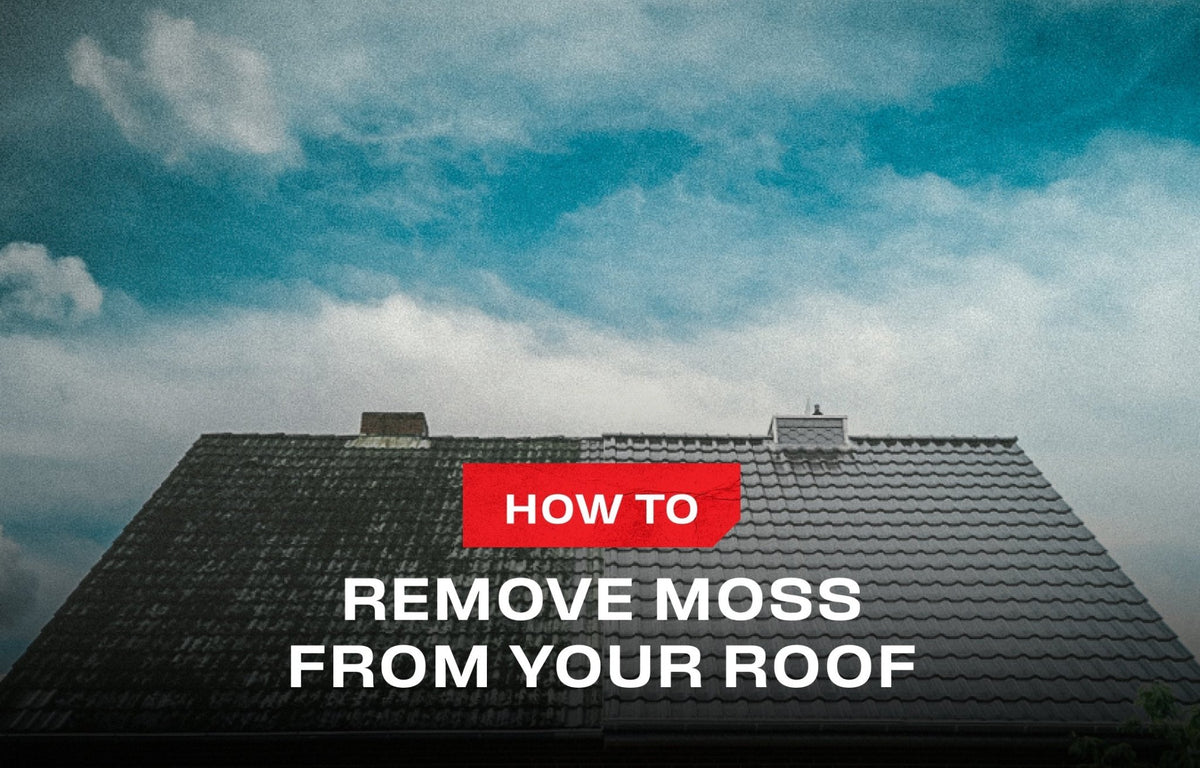 Roof Moss Removal 101: Kill It, Clear It, Keep It Gone - NOCRY