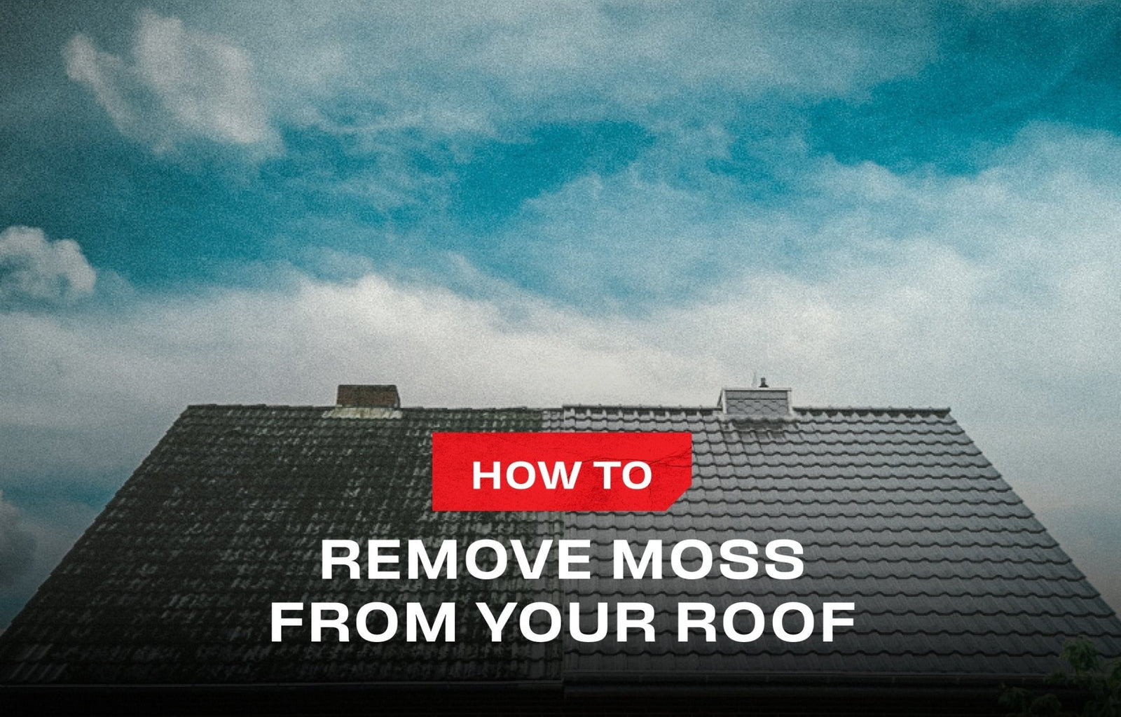 Roof Moss Removal 101: Kill It, Clear It, Keep It Gone - NoCry