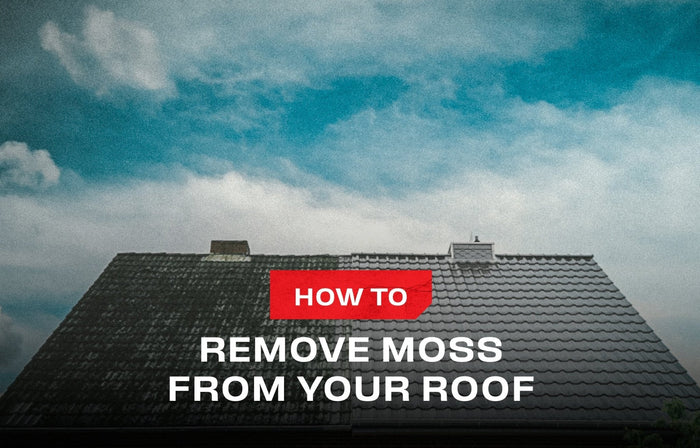 Roof Moss Removal 101: Kill It, Clear It, Keep It Gone - NoCry