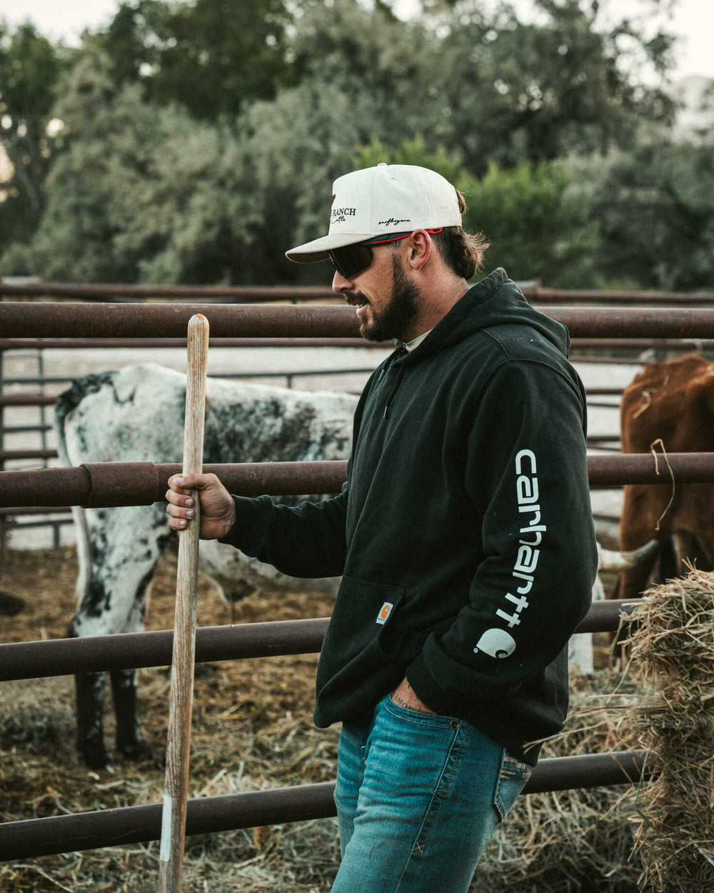 Open country