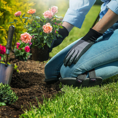 EasyGuard+ - NoCry - 