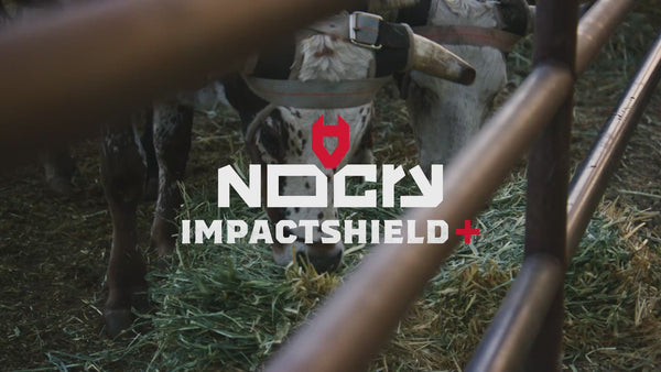 ImpactShield+ Tinted Safety Sunglasses